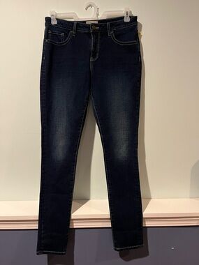 BKE Denim Women’s Gabby Skinny Dark Wash Jeans, Size 28R X 31 1/2
